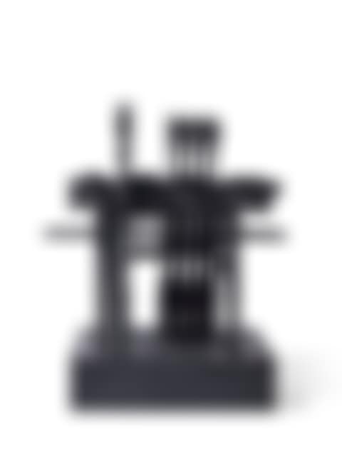 Throne (preview)