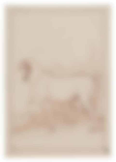 A horse (preview)