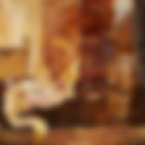 One for the Cook (preview)