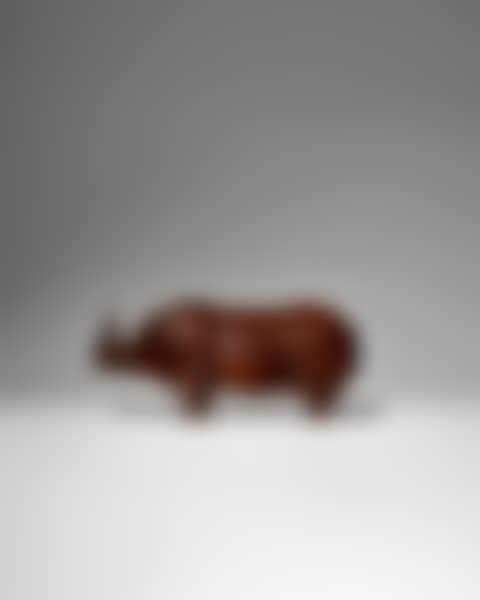 "Rhinocéros III" (preview)