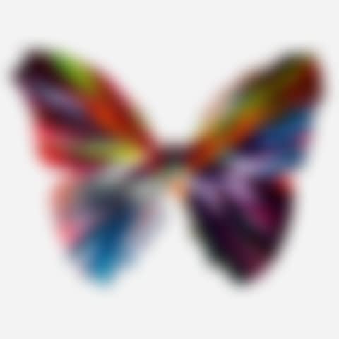 Butterfly Spin Painting (preview)