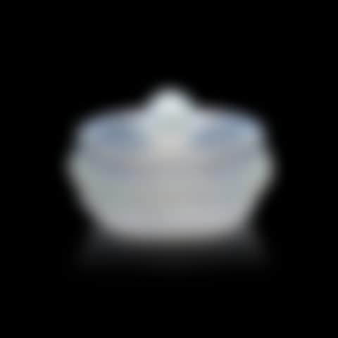 "Primevères" lidded box (preview)