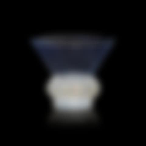 "Pinsons" vase (preview)