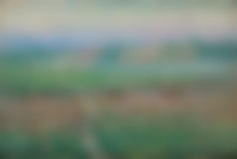 French summer landscape, Grez-sur-Loing (preview)