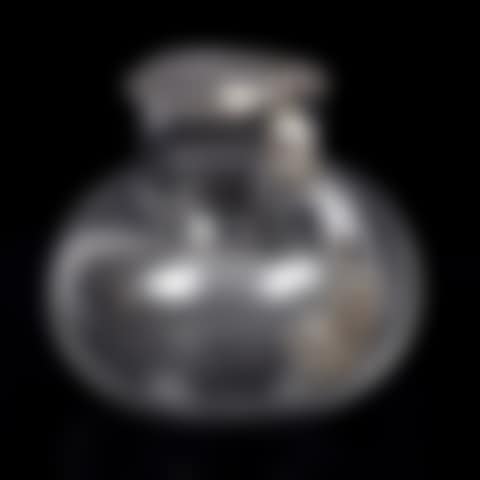 An Italian silver mounted jug (preview)
