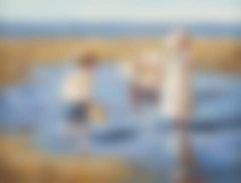 Beach Scene (preview)