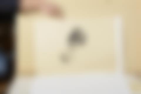UNTITLED (preview)
