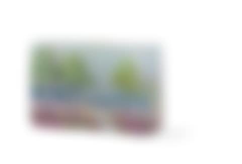 The Birches (preview)