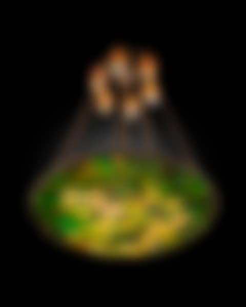 A Rare "Allamanda" Chandelier (preview)
