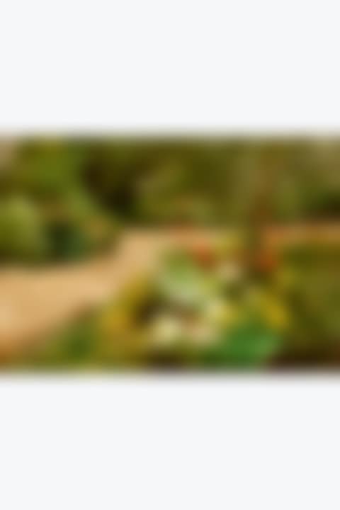 Le jardin (preview)