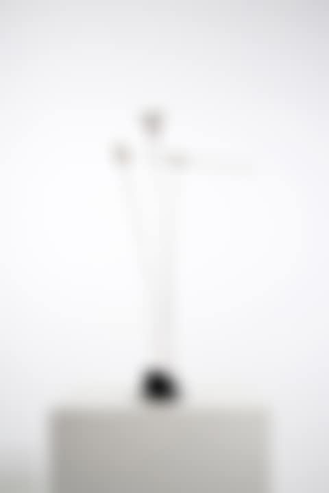 Signal (preview)