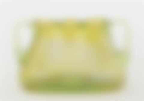 Rare tulip vase (preview)