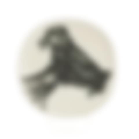 Goat"s head in profile" (preview)