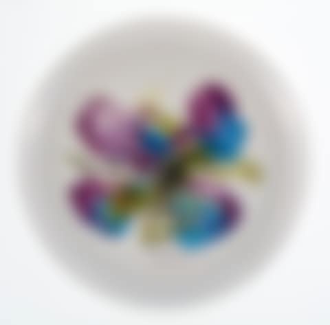 Orchid (preview)