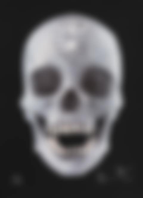 Skull (preview)