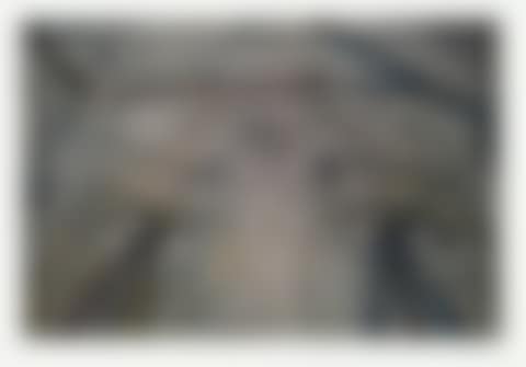 " Looksee XVIII " (preview)