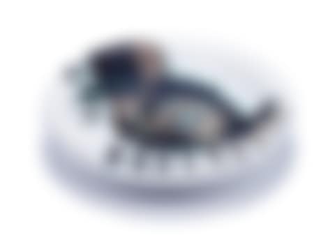 Bird with worm (preview)