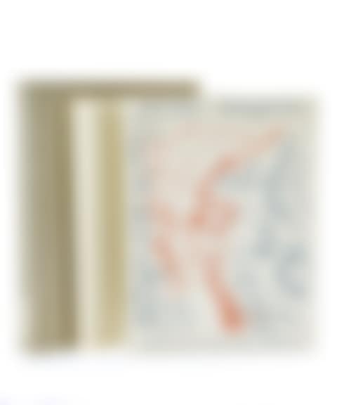 Twenty-two drawings on the theme of desire (preview)