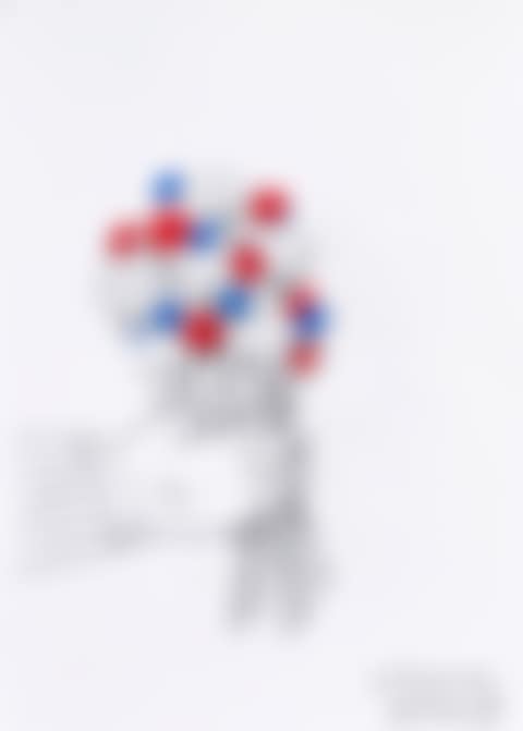 Bouquet of flowers (preview)