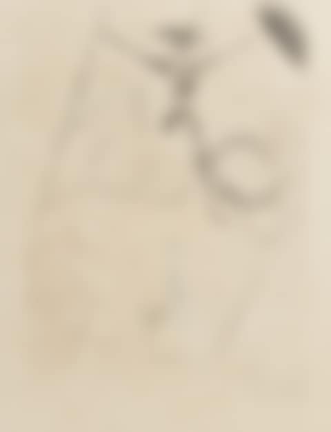 "Don Quixote" (preview)