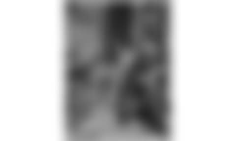Photographs of Jean Limet and his son, Auguste Rodin, and Jean Carries (preview)