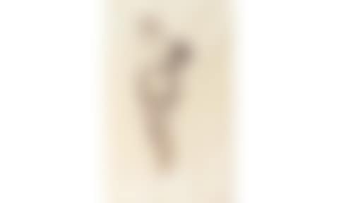 Standing woman undressing (preview)
