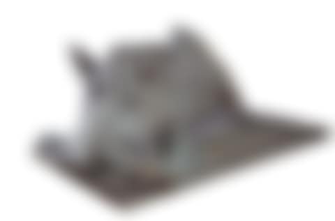 "BOAR" (preview)