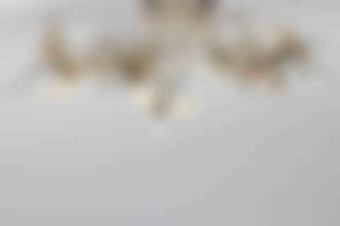 Ceiling light (preview)