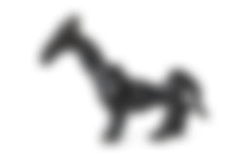The donkey (preview)