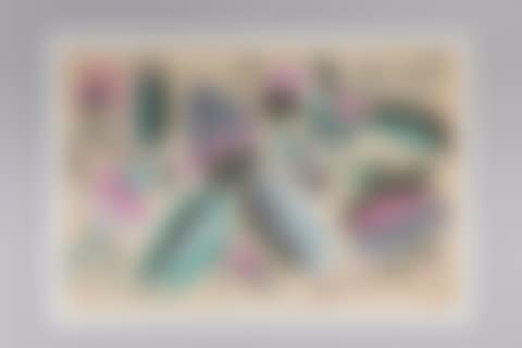 Decorative project with plant motifs (preview)