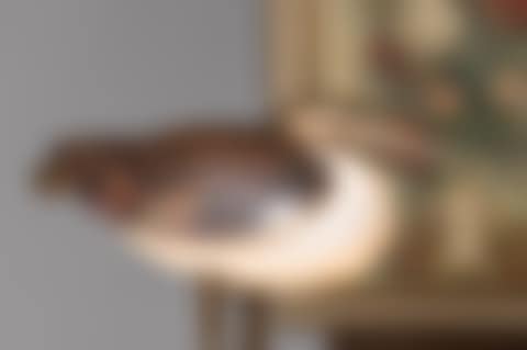 Grand-wader lamp (preview)