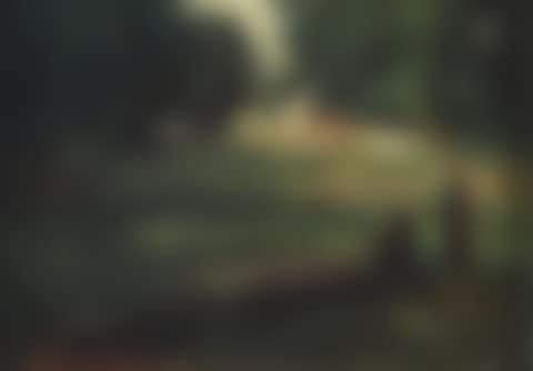 Lively landscape (preview)