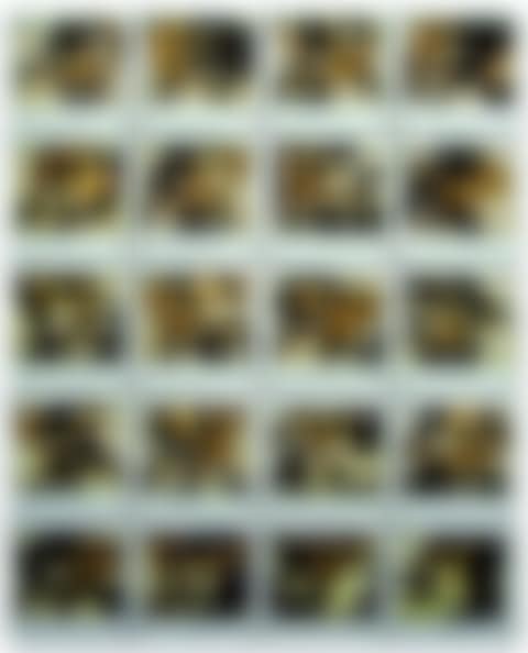 Photo library (preview)