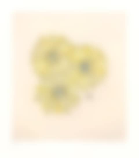 One plate, from Flower with Bee (preview)