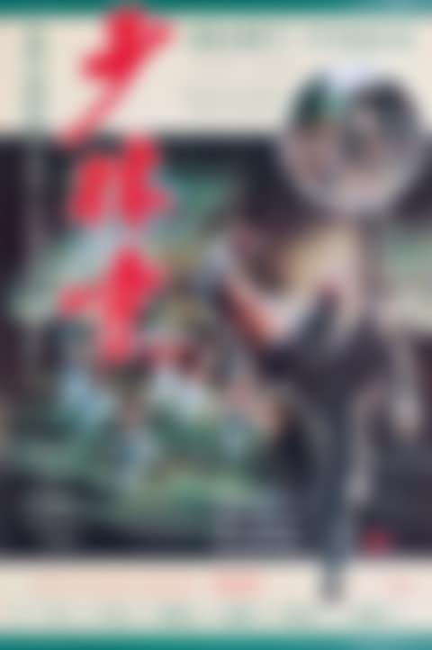 MOVIE POSTER “THE SHAOLIN TEMPLE”, STARRING BY JET LI (preview)