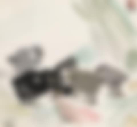 CHICKS (preview)