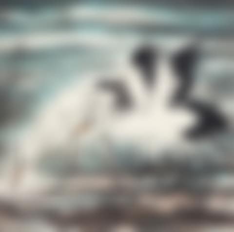 TWO EGRETS (preview)