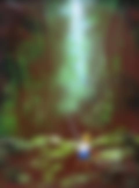 Untitled (preview)