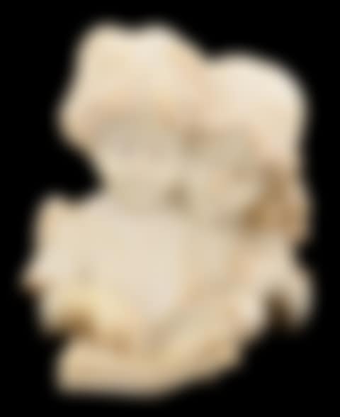 Italian Alabaster Sculpture of a Boy and Girl with Book (preview)