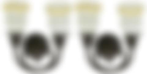 Pair of Two-Light Sconces (preview)