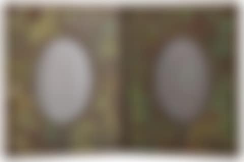 "Grapevine" Double Picture Frame (preview)
