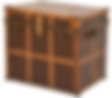 American Leather & Canvas Steamer Trunk (preview)