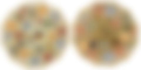 Pair of Enameled Glass Plates (preview)