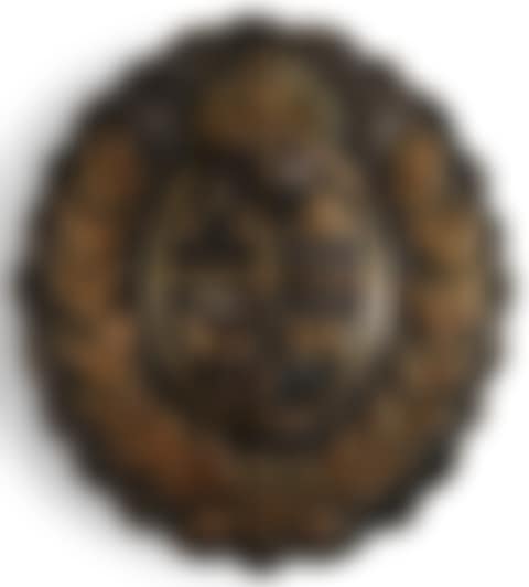 Guard plate (preview)