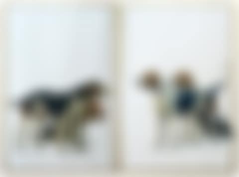 Relais de chiens de meute (preview)