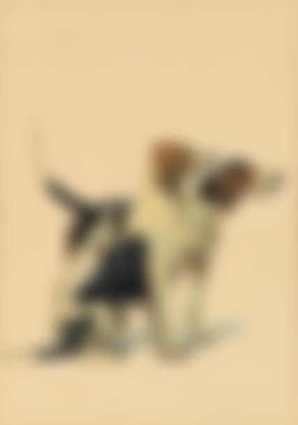Pair of pack dogs (preview)