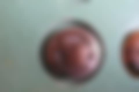 O R the Puree (preview)