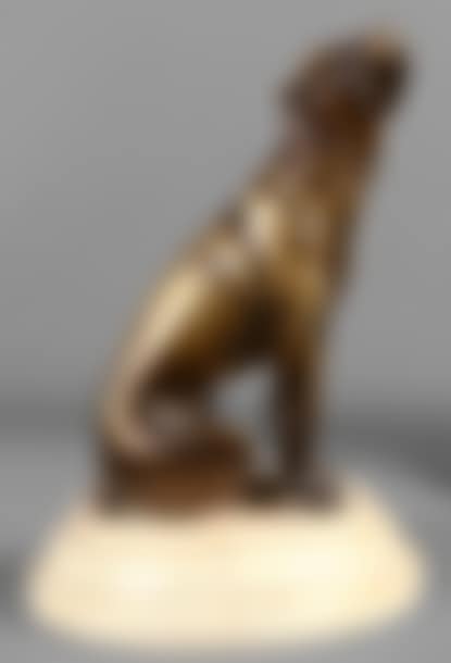 Sitting dog (preview)