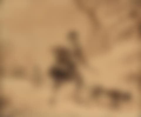 Hunter and his dog. (preview)
