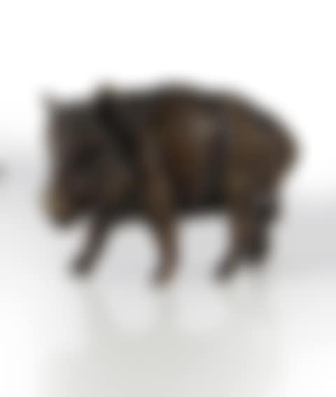 Wild boar (preview)